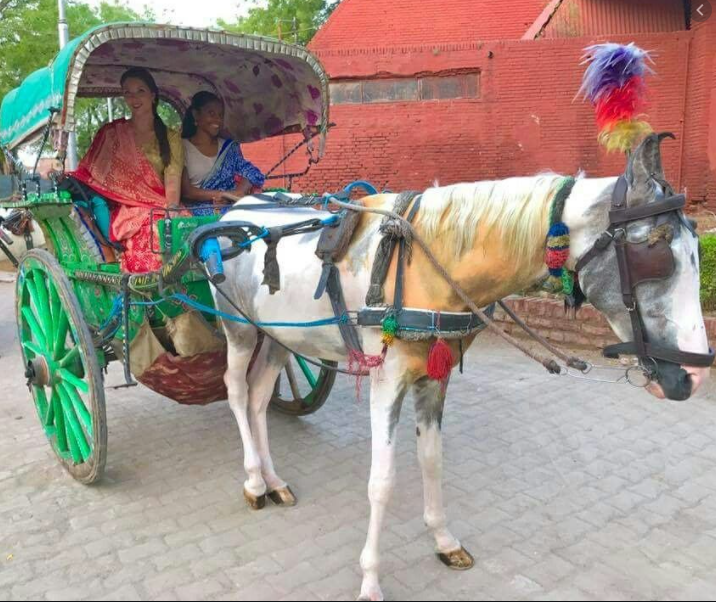 Tonga - तांगेवालों को  मोबाइल  कान-क्लीनर भी  कहा जाता था